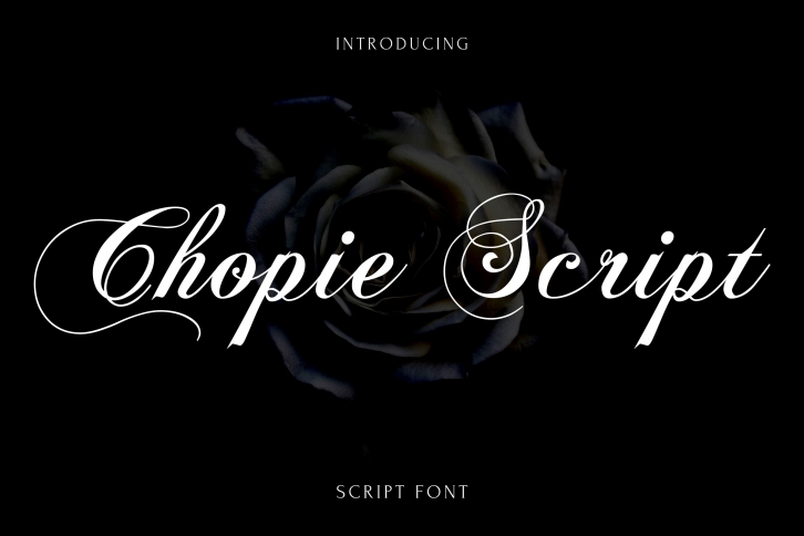 Chopie Script Font Download