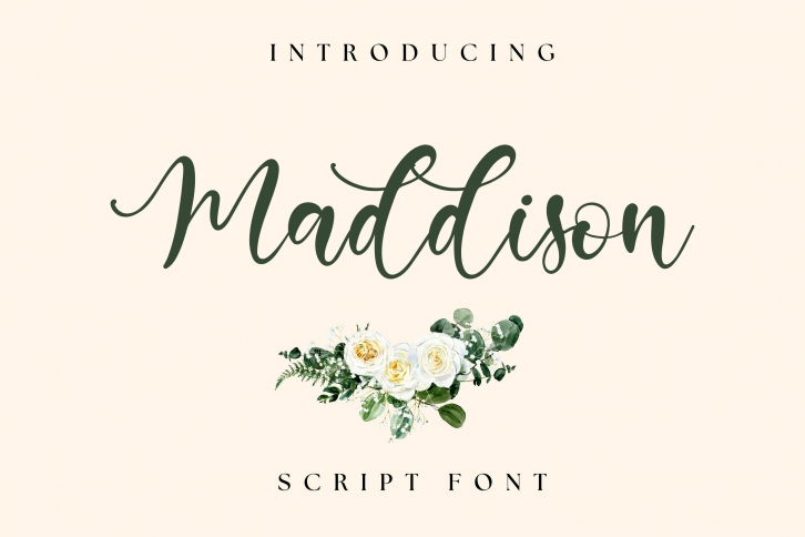 Maddison Font Download