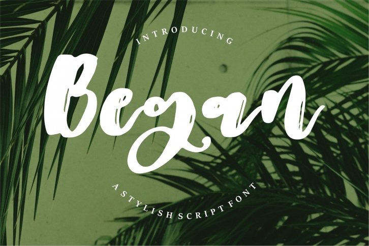 Began Font Download