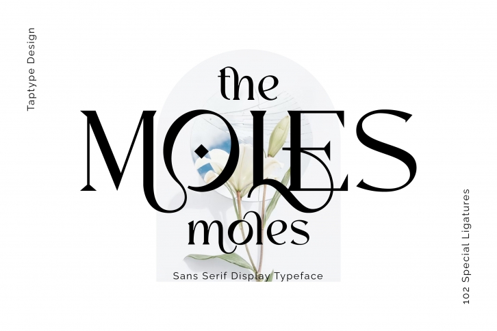 Moles Font Download