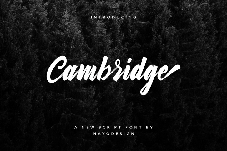 Cambridge Font Download