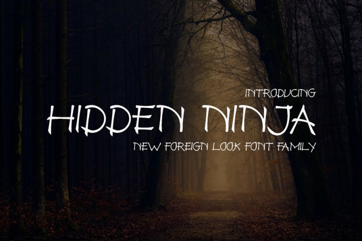 Hidden Ninja Font Font Download