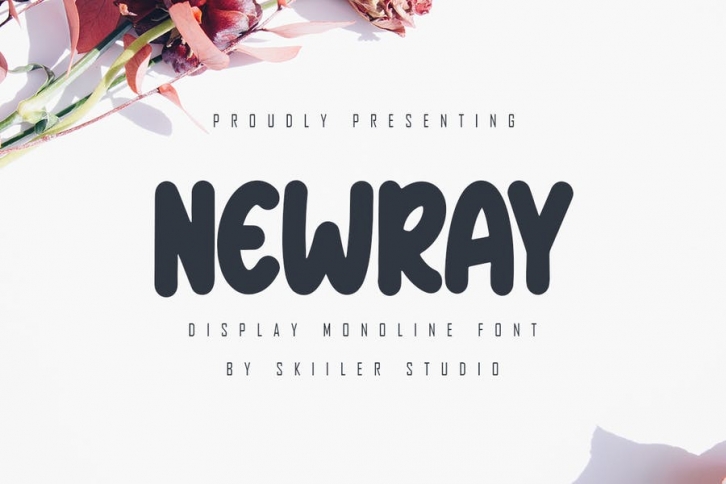 Newray - Display Monoline Font Font Download