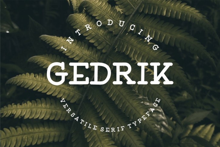 Gedrik Serif Typeface Font Download