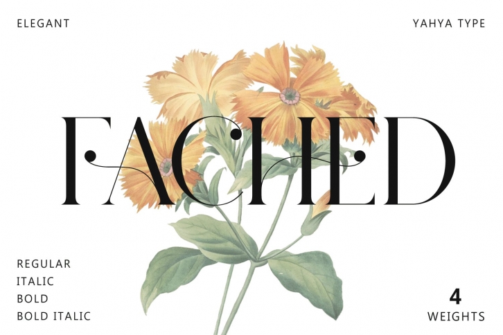 Fached Font Download