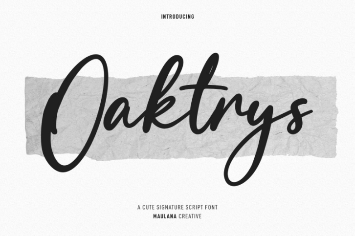 Oaktrys Handwritten Script Font Font Download