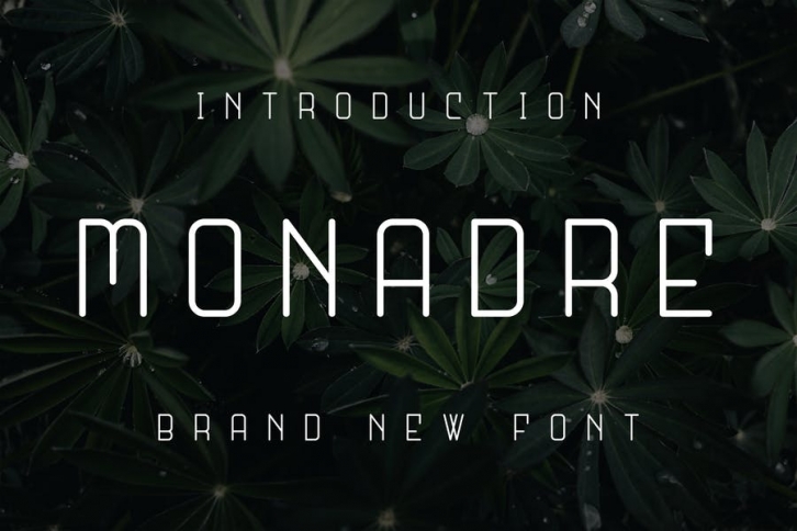 Monadre Font Font Download