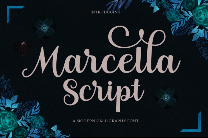 Marcella Script Font Download