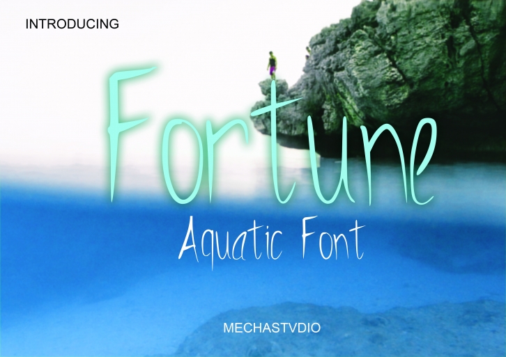 Fortune Font Download