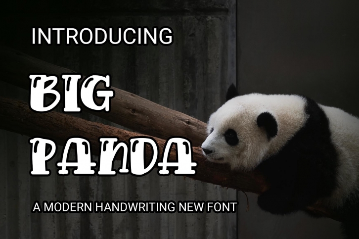 Big Panda Font Download