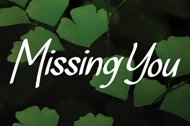 Missing You Font Download