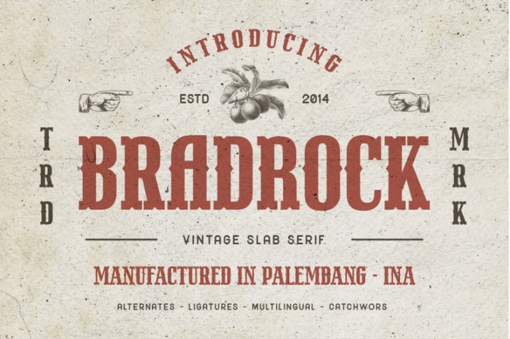 Bradrock - Vintage Slab Font Download
