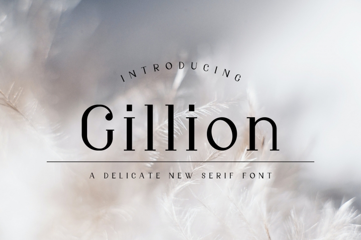 Gillion Font Download