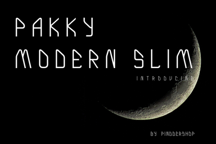 Pakky Modern Slim Font Download