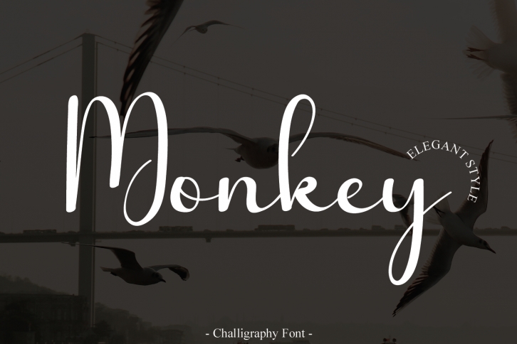 Monkey Font Download