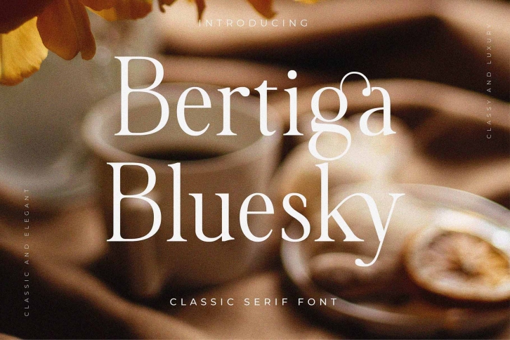 Bertiga Bluesky Font Download