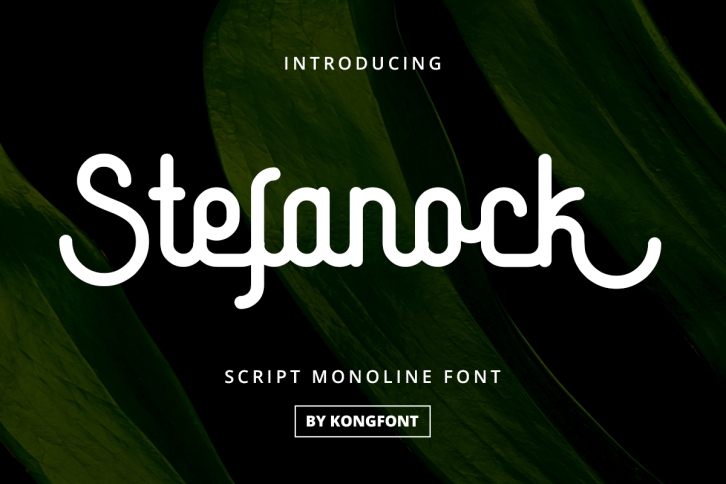 Stefanock Font Download