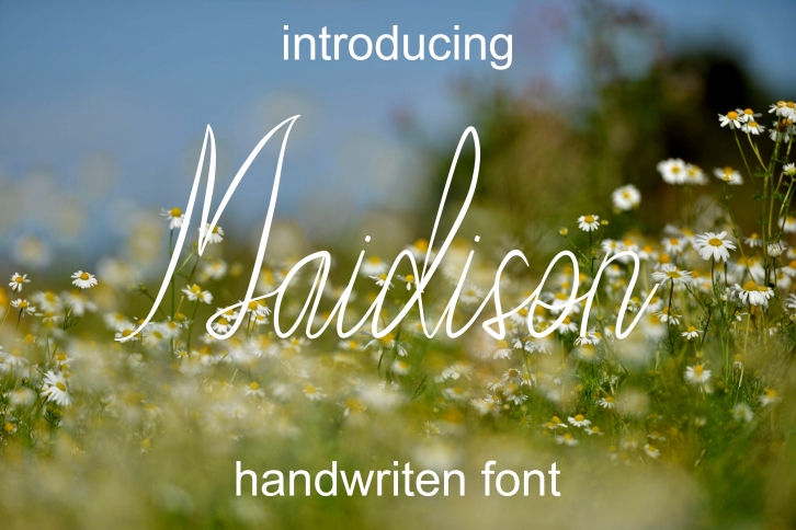 Maidison Font Download