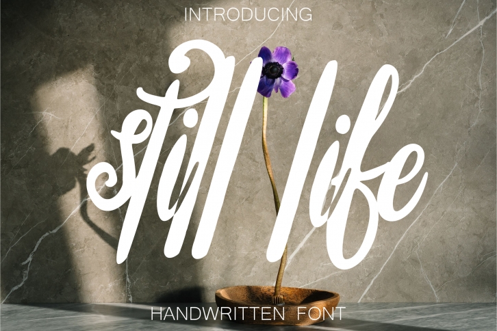 Still Life Font Download