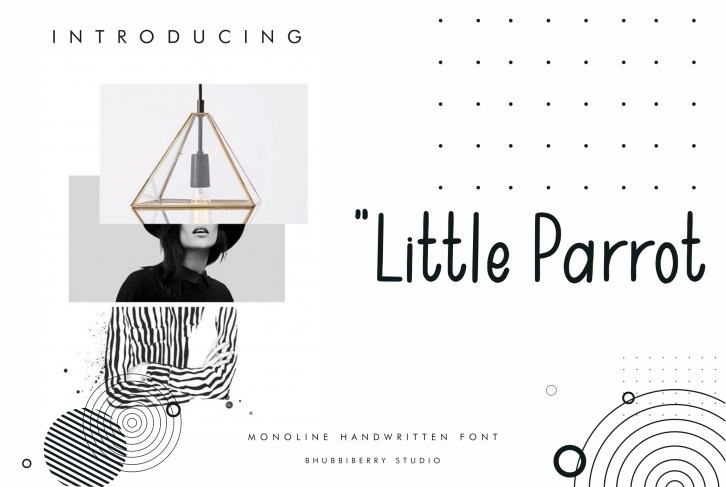 Little Parrot Font Download