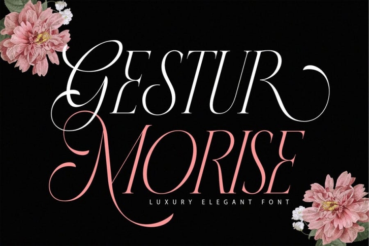 Gesture Morise Font Download