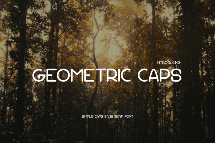 Geometric Caps Font Download
