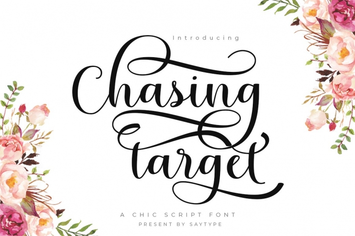 Chasing target Font Download
