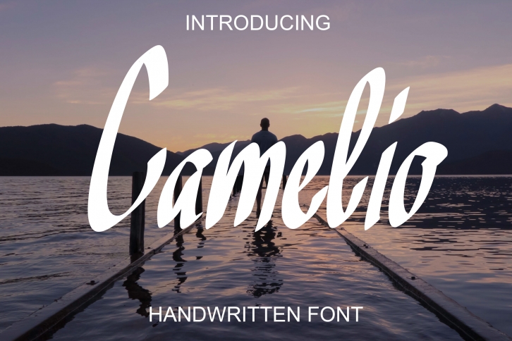 Camelio Font Download