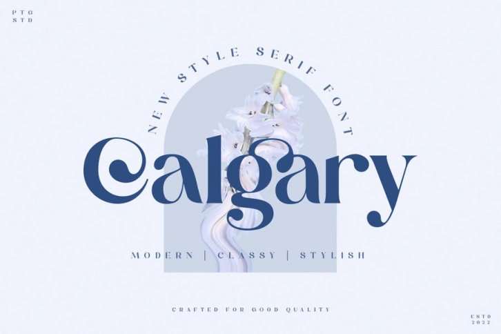 Calgary | New Stylish Serif Font Font Download
