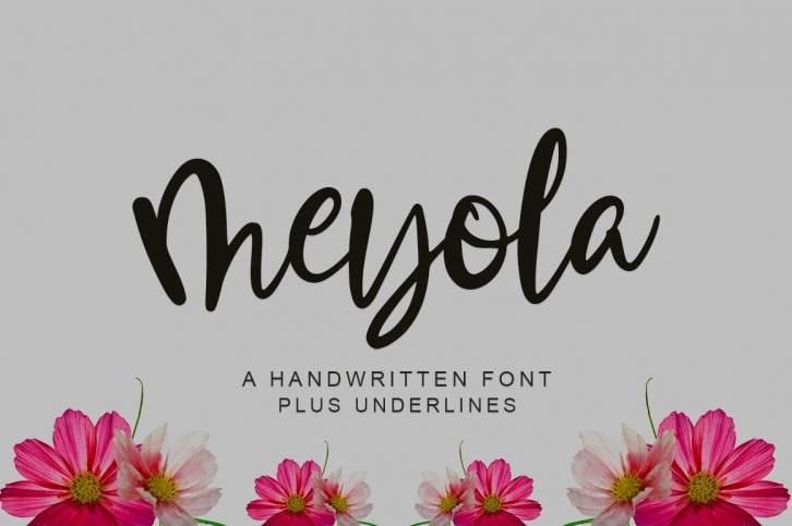 Meyola Brush Font Download