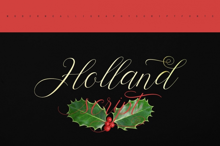 Holland Scrip Font Download