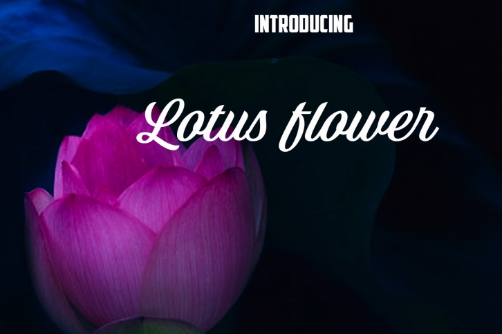 Lotus Flower Font Download