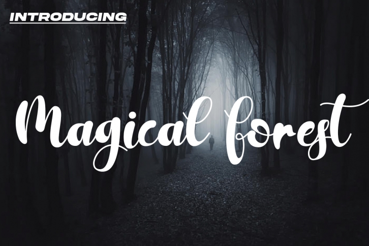Magical Forest Font Download