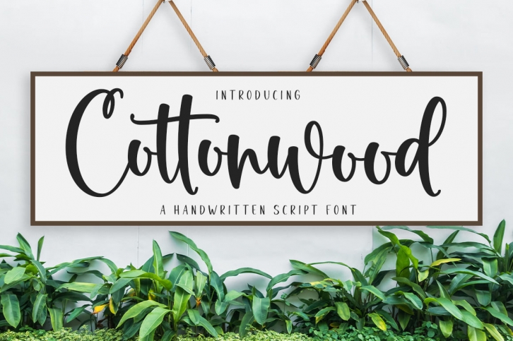 Cottonwood Font Download