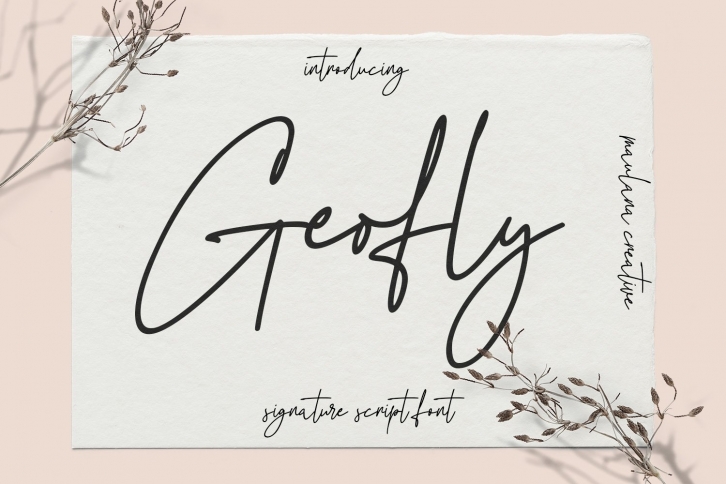 Geofly Signature Script Font Download