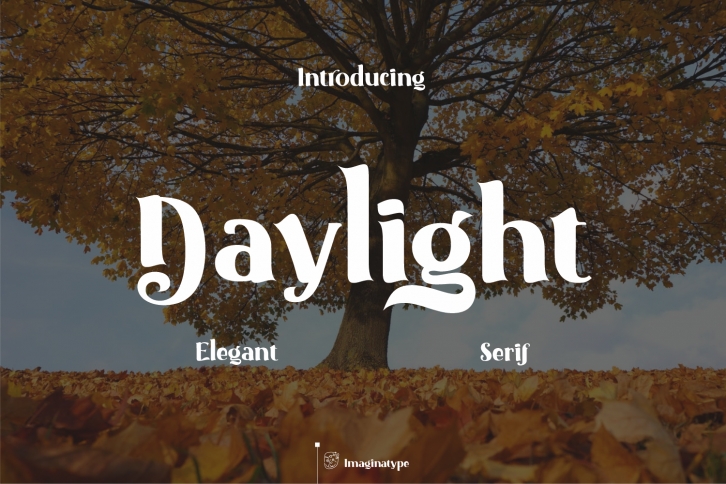 Daylight Font Download