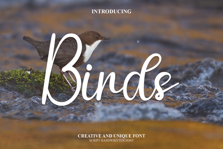 Birds Font Download