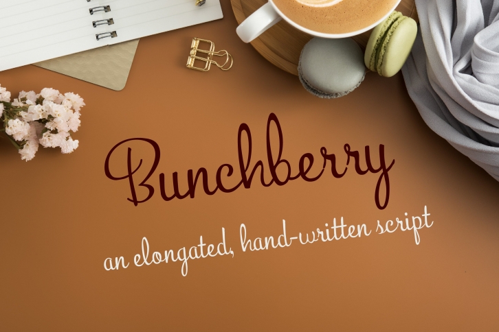 PN Bunchberry Font Download
