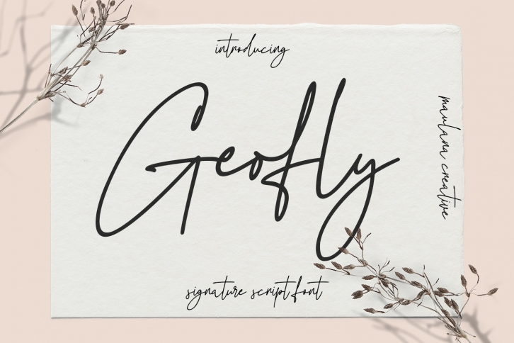 Geofly Font Download