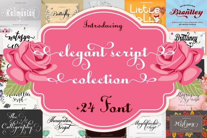 Elegant Script Colection Font Download
