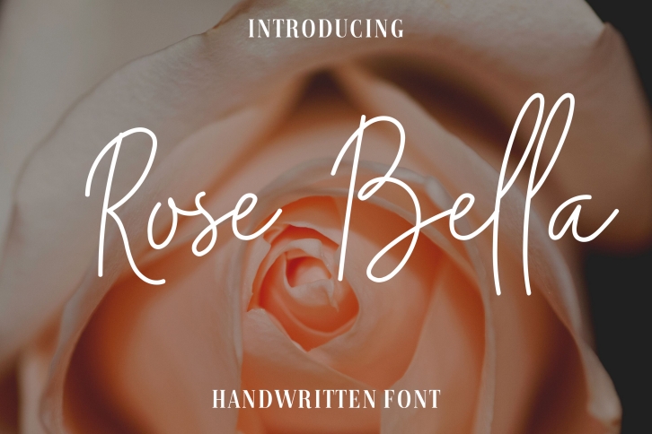 Rose Bella Font Download