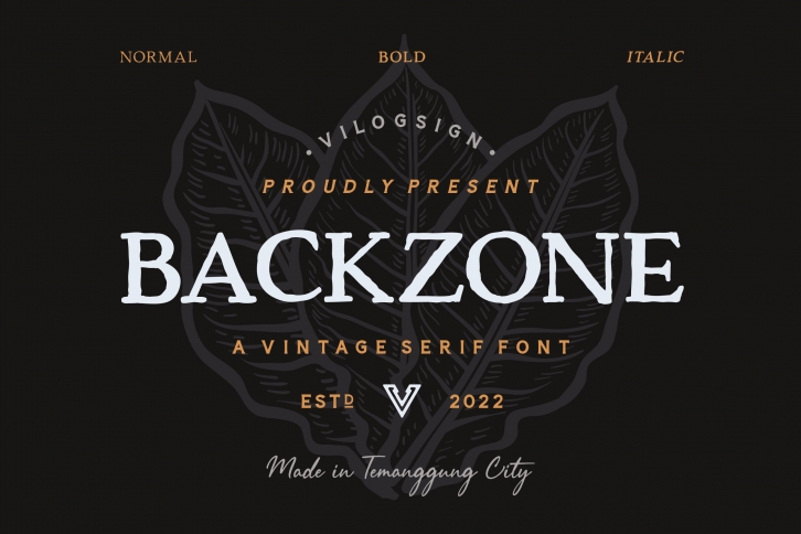 Backzone a Vintage Rustic Serif Font Download