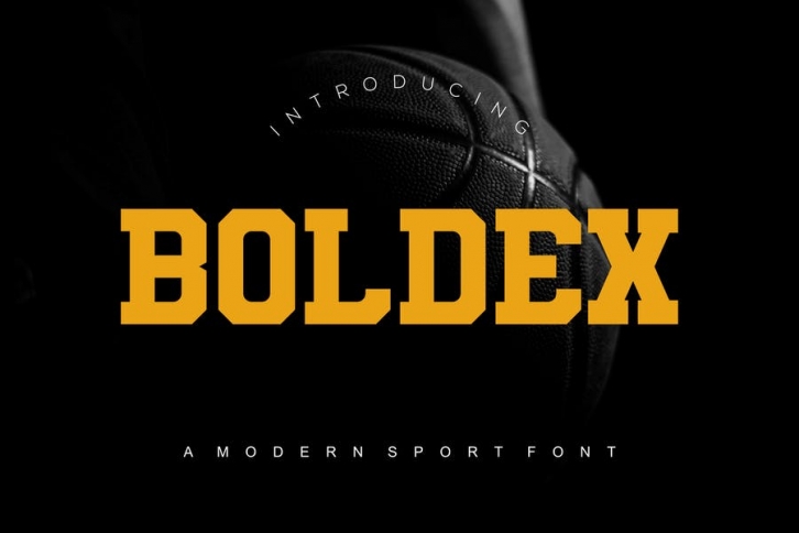 Boldex Font Font Download