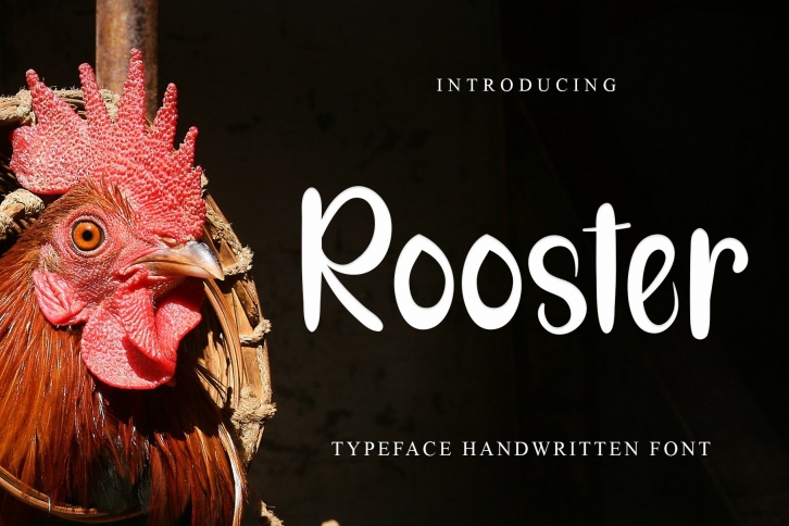 Rooster Reguler Font Download
