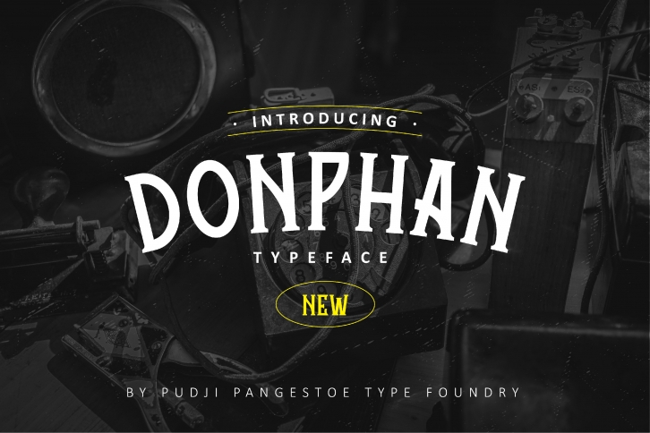 Donphan Font Download