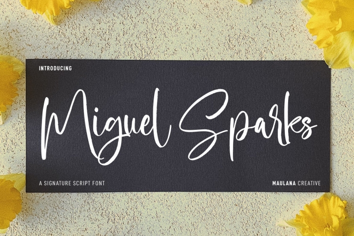 Miguel Sparks Script Font Download