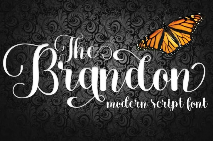 The Brandon Font Download