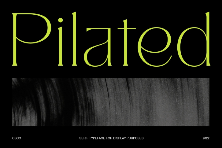 Pilated - Modern Serif Typeface Font Download