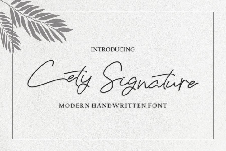 Cety Signature Font Font Download