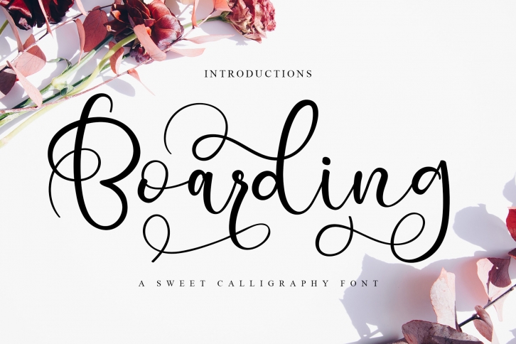 Boarding Font Download